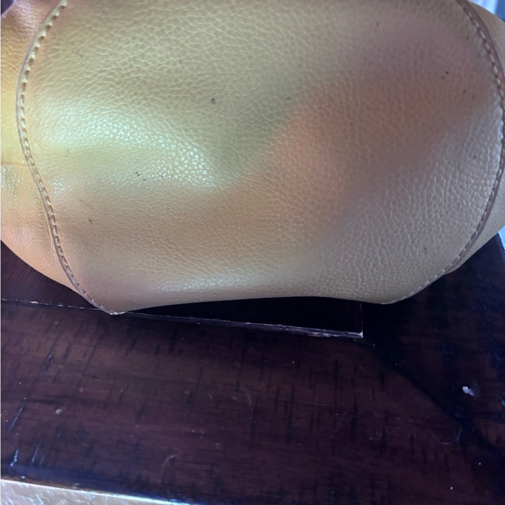 The Sak purse